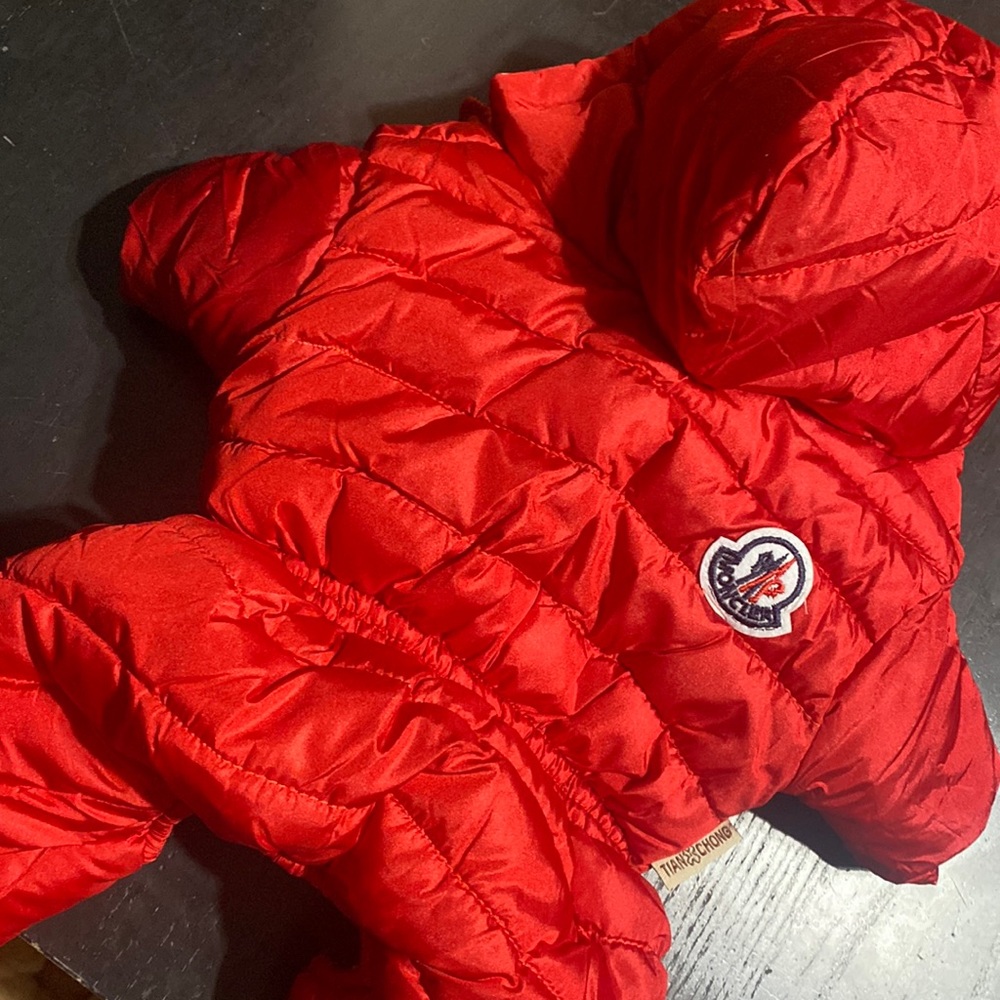 Dog coat